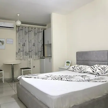 Apartment Sheshi Willson Great Studio *